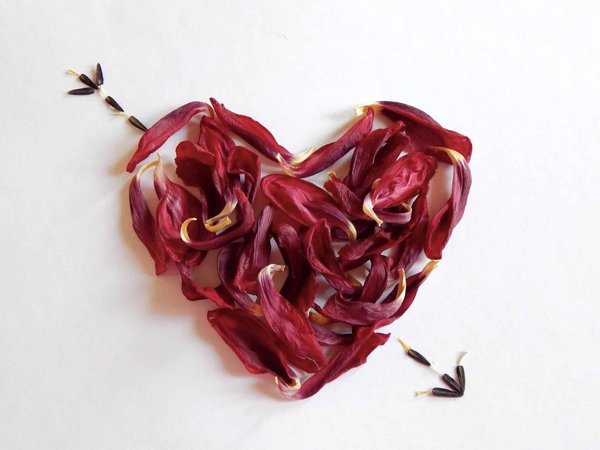 Quelles activités faire en couple ?